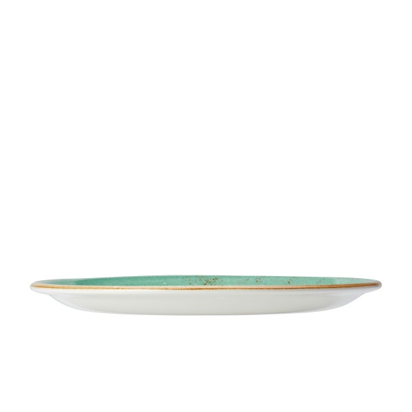 Craft Aqua Plate Coupe - 28cm (11