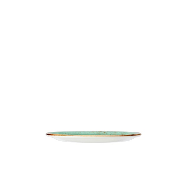 Craft Aqua Plate Coupe - 15.25cm (6