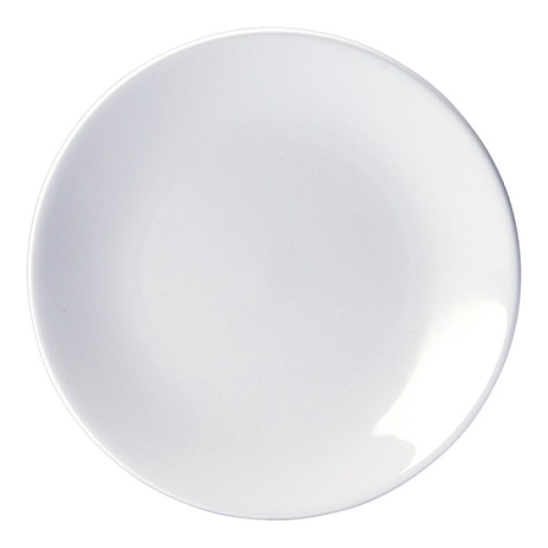 Contour Plate - 20.25cm (8")