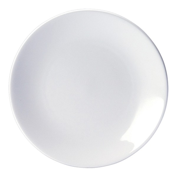 Contour Plate - 23cm (9")